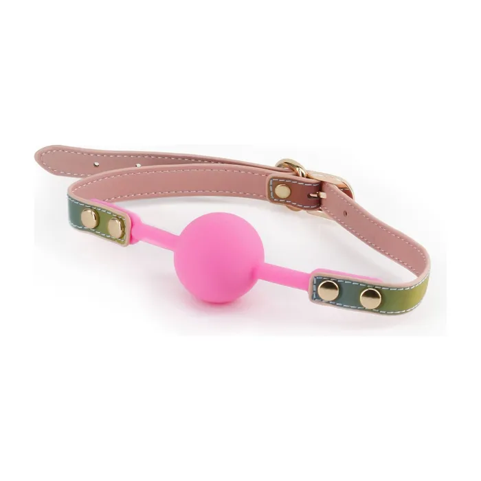 nsnovelties Couples Spectra Bondage Ballgag Rainbow